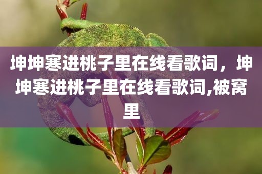 坤坤寒进桃子里在线看歌词，坤坤寒进桃子里在线看歌词,被窝里