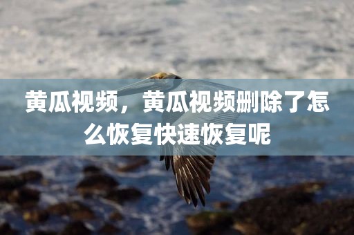 黄瓜视频，黄瓜视频删除了怎么恢复快速恢复呢
