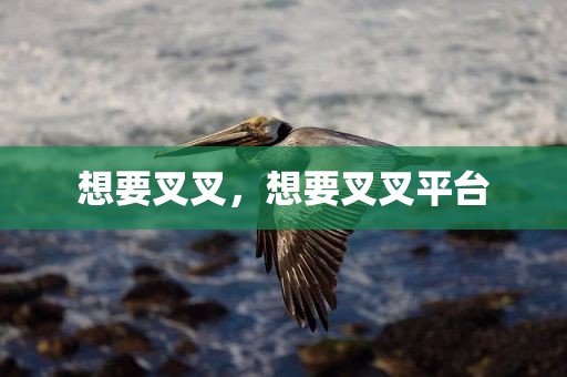 想要叉叉，想要叉叉平台