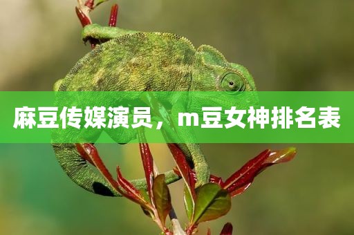 麻豆传媒演员，m豆女神排名表