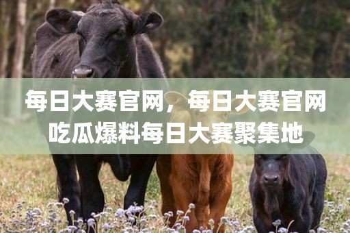每日大赛官网，每日大赛官网吃瓜爆料每日大赛聚集地