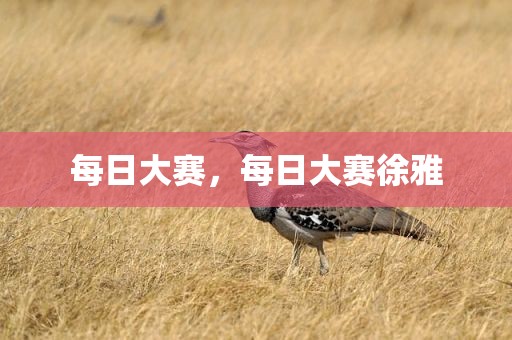 每日大赛，每日大赛徐雅
