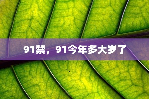91禁，91今年多大岁了