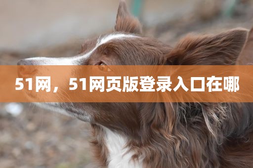 51网，51网页版登录入口在哪