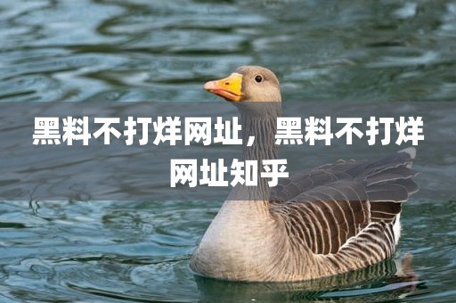 黑料不打烊网址，黑料不打烊网址知乎