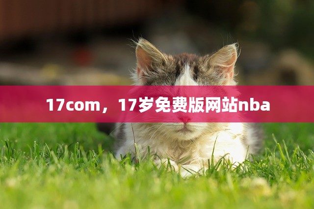 17com，17岁免费版网站nba