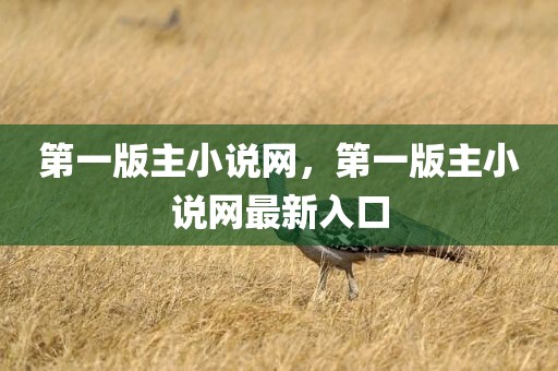 第一版主小说网，第一版主小说网最新入口