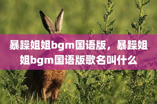 暴躁姐姐bgm国语版，暴躁姐姐bgm国语版歌名叫什么