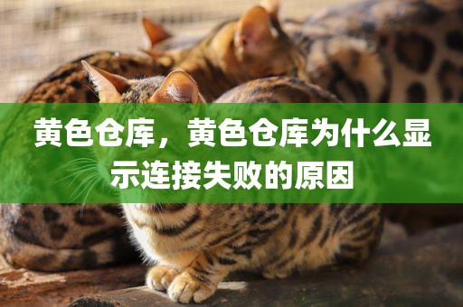 黄色仓库，黄色仓库为什么显示连接失败的原因