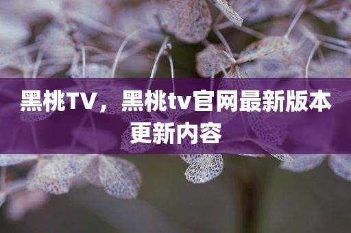 黑桃TV，黑桃tv官网最新版本更新内容