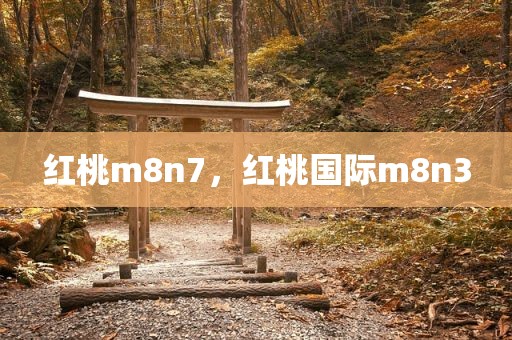 红桃m8n7，红桃国际m8n3