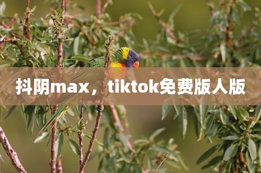 抖阴max，tiktok免费版人版