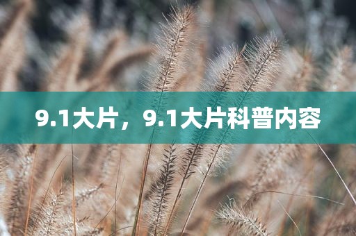 9.1大片，9.1大片科普内容