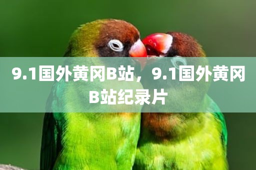 9.1国外黄冈B站，9.1国外黄冈B站纪录片