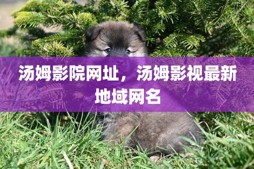 汤姆影院网址，汤姆影视最新地域网名