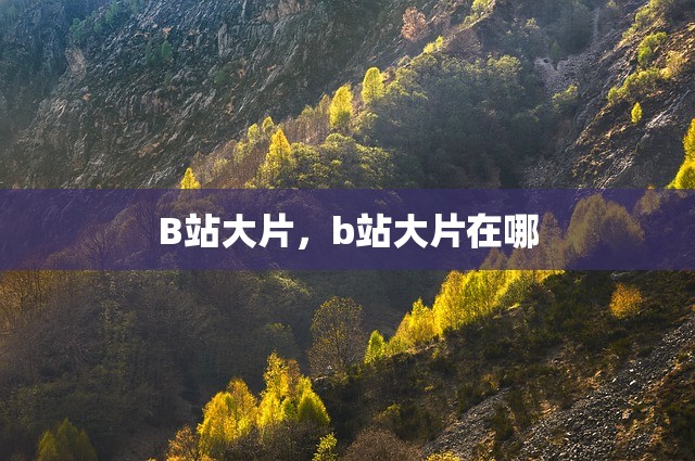 B站大片，b站大片在哪
