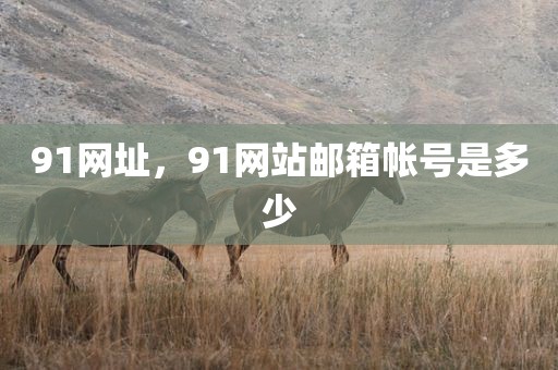91网址，91网站邮箱帐号是多少