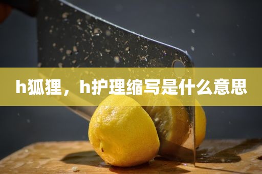 h狐狸，h护理缩写是什么意思