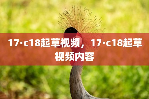 17·c18起草视频，17·c18起草视频内容
