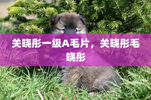 关晓彤一级A毛片，关晓彤毛晓彤