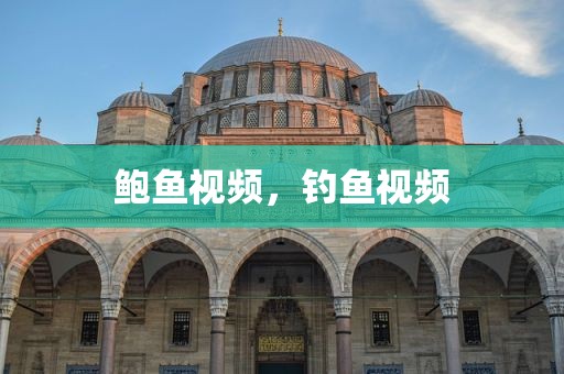 鲍鱼视频，钓鱼视频