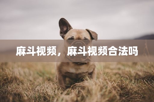 麻斗视频，麻斗视频合法吗
