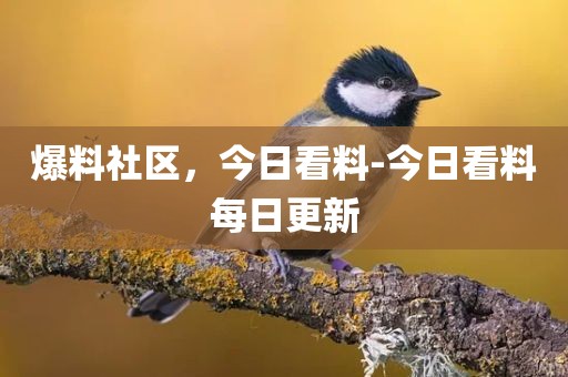 爆料社区，今日看料-今日看料每日更新