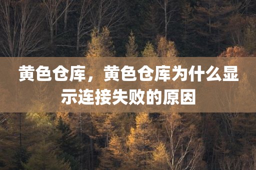 黄色仓库，黄色仓库为什么显示连接失败的原因