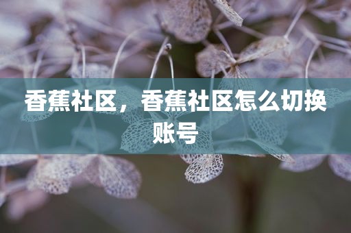 香蕉社区，香蕉社区怎么切换账号