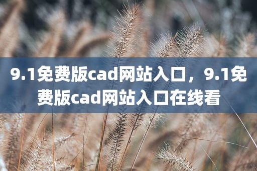 9.1免费版cad网站入口，9.1免费版cad网站入口在线看