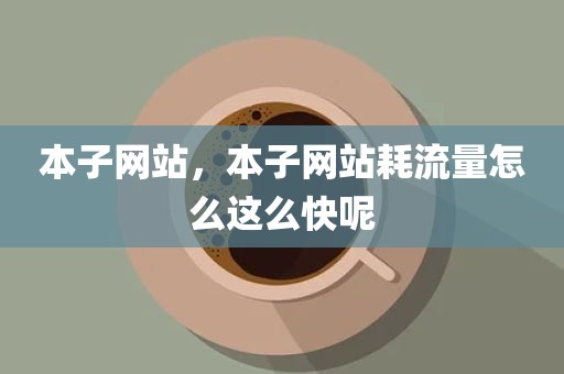 本子网站，本子网站耗流量怎么这么快呢
