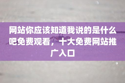 网站你应该知道我说的是什么吧免费观看，十大免费网站推广入口