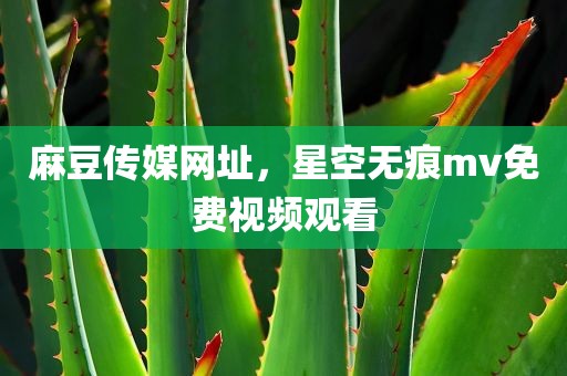 麻豆传媒网址，星空无痕mv免费视频观看