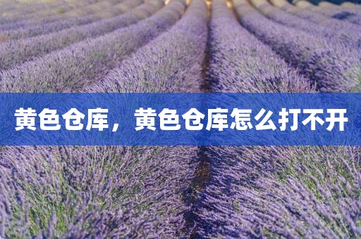 黄色仓库，黄色仓库怎么打不开