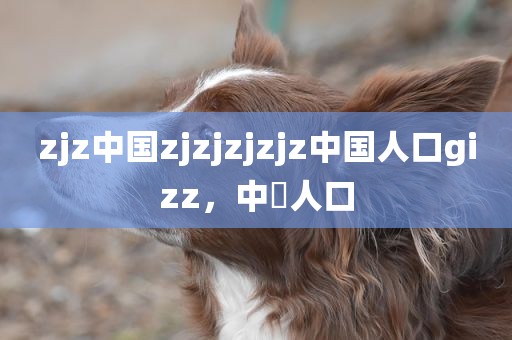 zjz中国zjzjzjzjz中国人口gizz，中囯人口
