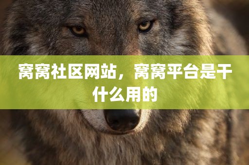 窝窝社区网站，窝窝平台是干什么用的