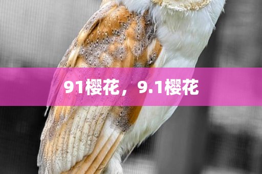 91樱花，9.1樱花
