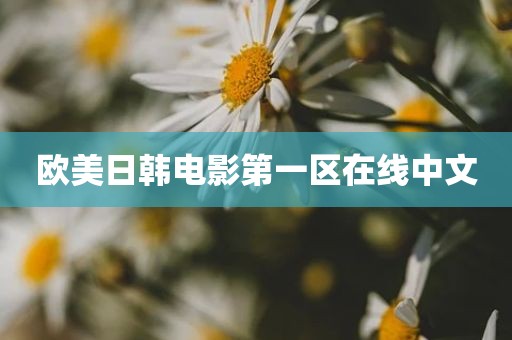 欧美日韩电影第一区在线中文