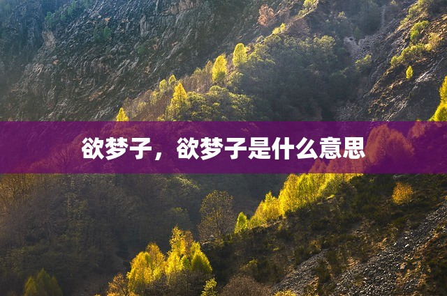 欲梦子，欲梦子是什么意思