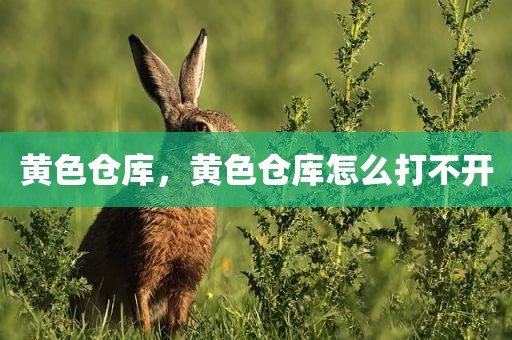 黄色仓库，黄色仓库怎么打不开