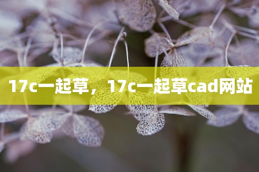 17c一起草，17c一起草cad网站