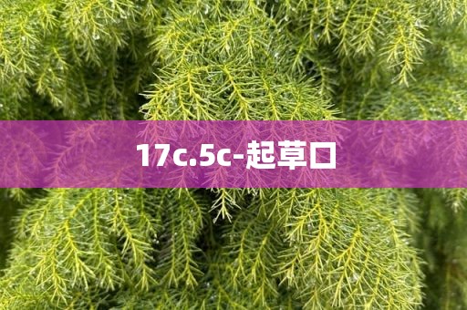 17c.5c-起草口