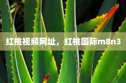 红桃视频网址，红桃国际m8n3