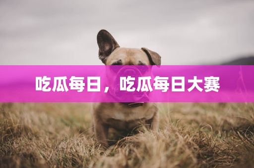 吃瓜每日，吃瓜每日大赛