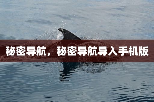 秘密导航，秘密导航导入手机版