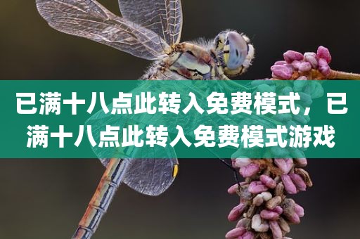 已满十八点此转入免费模式，已满十八点此转入免费模式游戏