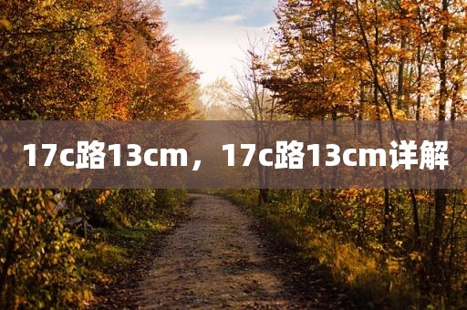 17c路13cm，17c路13cm详解