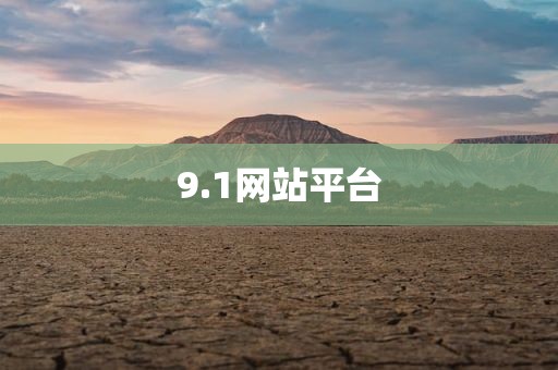 9.1网站平台