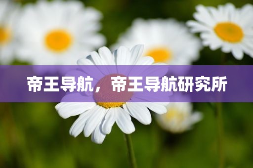 帝王导航，帝王导航研究所