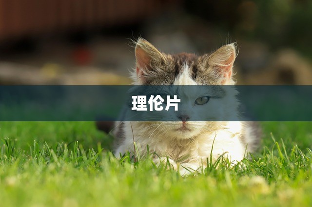 理伦片